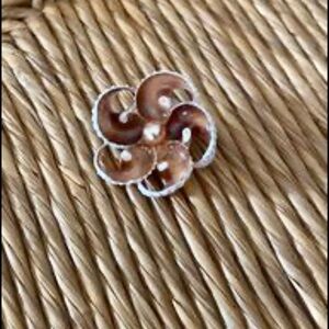 Vintage Cut Shell & pearl Pin MCM from the 1960’s